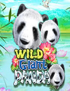 ฝาก 8 รับ 100 กับ Joker Gaming เต็มอิ่มกับความสนุก